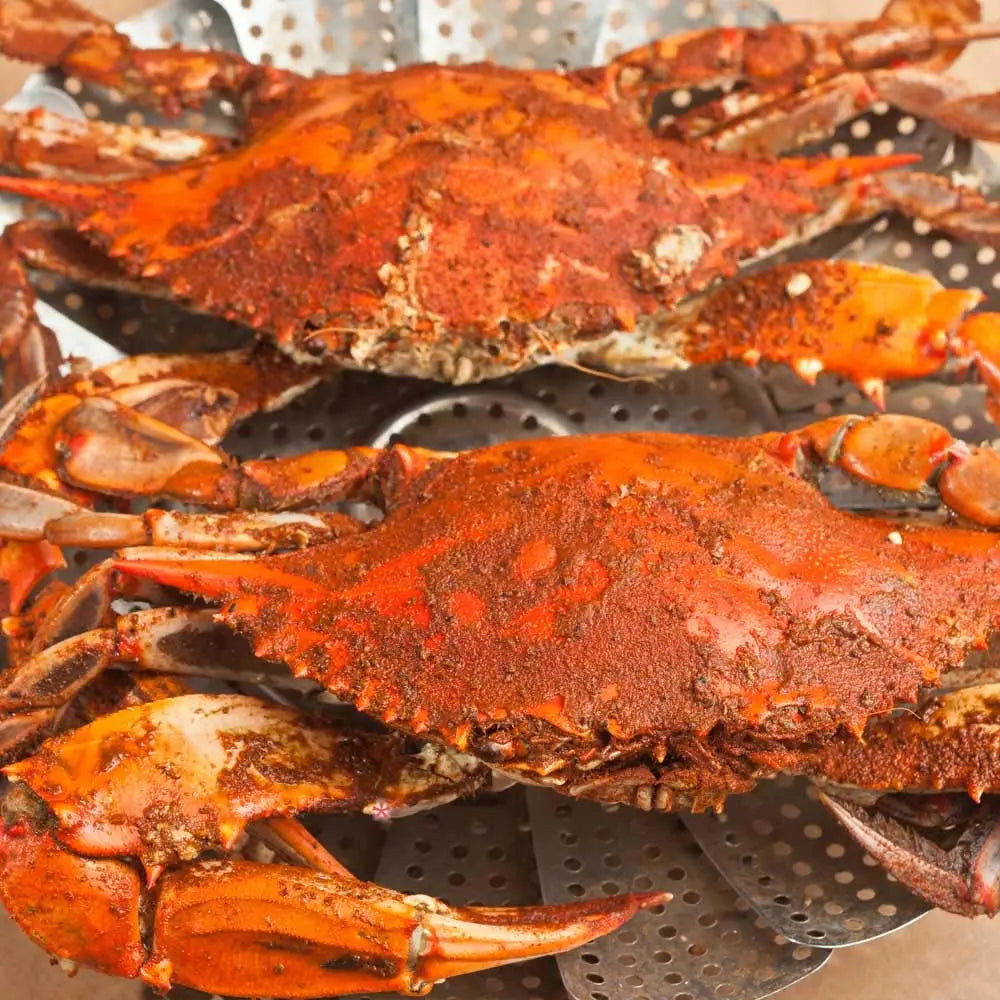 Cameron's Seafood Jumbo Maryland Blue Crabs - Extra Large Jimmys Steamed (6)